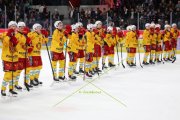 ZSC - TIGERS