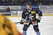 AMBRI - TIGERS