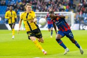 BASEL - YB