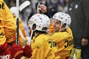 AMBRI - TIGERS