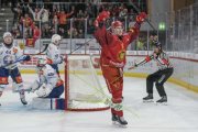 TIGERS - ZSC
