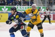 AMBRI - AJOIE