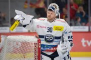 TIGERS - AMBRI
