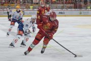 TIGERS - ZSC