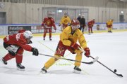 TIGERS TRAINING