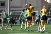 YB - ST.GALLEN