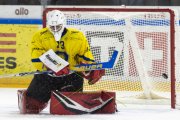 HCC - AROSA