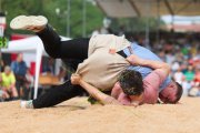 118. NORDWESTSCHWEIZER SCHWINGFEST