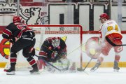 LAUSANNE - MOUNTFIELD