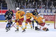 AMBRI - TIGERS
