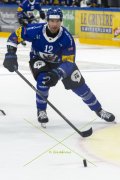 FRIBOURG - TIGERS