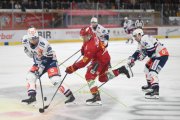 TIGERS - ZSC