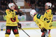 TIGERS - BERN