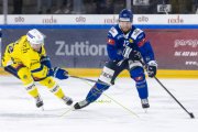 HCC - AROSA