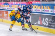 ZSC - DAVOS
