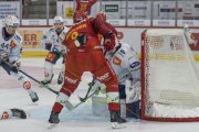 TIGERS - ZSC