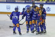 ZUG - TIGERS