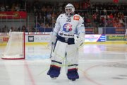 TIGERS - ZSC