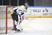 AMBRI - TIGERS