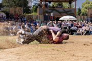 AARGAUER KANTONALSCHWINGFEST