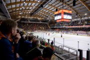 TIGERS - LAUSANNE