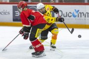 LAUSANNE - SC BERN