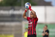 WIL - XAMAX