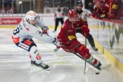 TIGERS - ZSC
