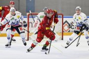 AMBRI - TIGERS