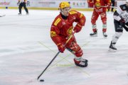 TIGERS - LAUSANNE
