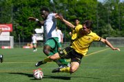 YB - KRIENS