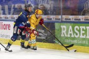 AMBRI - TIGERS