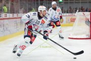 TIGERS - ZSC