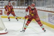 TIGERS - ZSC