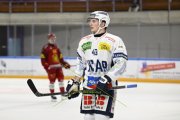 AMBRI - TIGERS