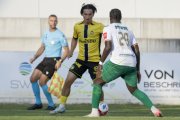 YB - KRIENS