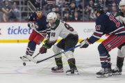 WINNIPEG - ARIZONA