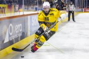 SCB - AJOIE