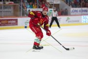 TIGERS - ZSC