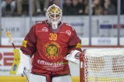 TIGERS - ZSC