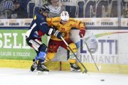 AMBRI - TIGERS
