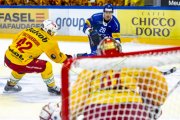 FRIBOURG - TIGERS