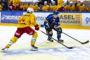 FRIBOURG - TIGERS