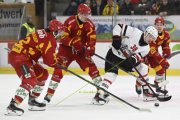 TIGERS - LAUSANNE