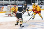 LUGANO - TIGERS