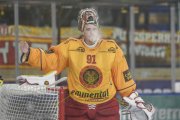 DAVOS - TIGERS