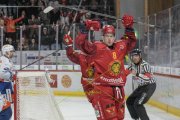 TIGERS - ZSC