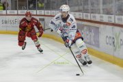 TIGERS - ZSC