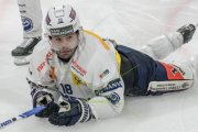 TIGERS - AMBRI
