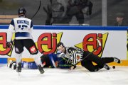 FRIBOURG - NITRA